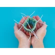 Kép 4/5 - addiCraSy Snake Lace kétvégű zoknikötőtű DPN