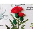 Kép 5/6 - The Comptoir hímző készlet - My Embroidered Herbarium XXL