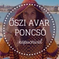 ŐSZI AVAR PONCSÓ ingyenesen letölthető minta