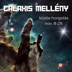 GALAXIS mellény közös horgolás információ