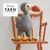 Yarn - The After Party No. 64 - Finn, a dodo amigurumi horgolásminta