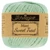 Scheepjes Maxi Sweet Treat 402 silver green