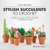 Stylish Succulents to Crochet amigurumi horgolás könyv