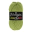 Scheepjes Colour Crafter - 1065 Assen - zsálya
