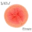 Scheepjes Whirl színátmenetes fonal 557 Coral Catastrophe - Ombré Collection