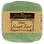 Scheepjes Maxi Sweet Treat 212 sage green